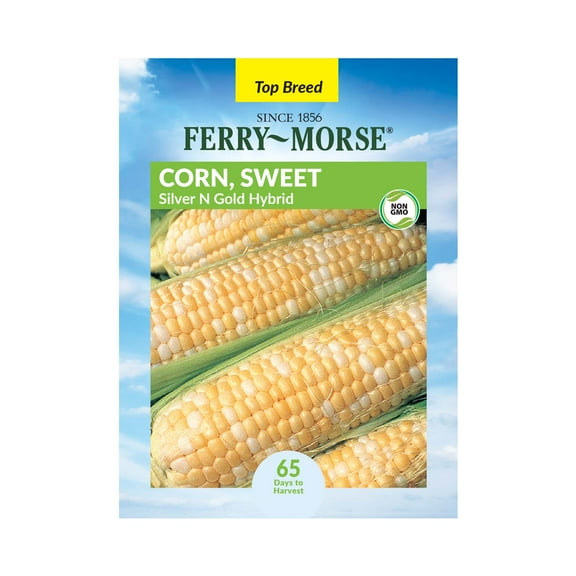 Ferry-Morse 6G Corn Silver N Gold Annual Vegetable Seeds, Full Sun