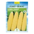 thumbnail image 1 of Ferry-Morse 6G Corn, Sweet Early Golden Bantam Annual Vegetable Seeds, Full Sun, 1 of 11
