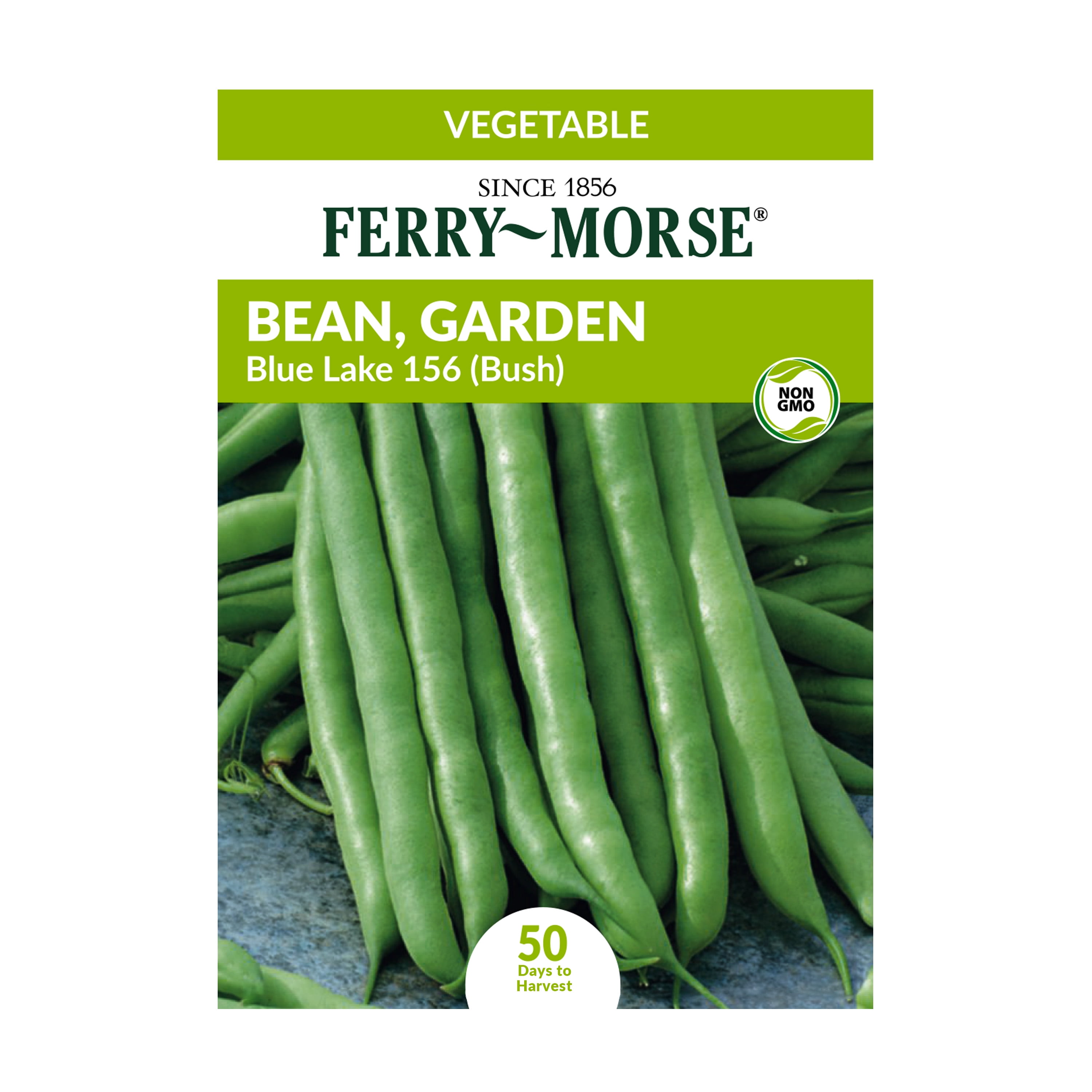 FerryMorse 7.5G Bean, Garden Blue Lake 156 (Bush) Vegetable Plant Seed
