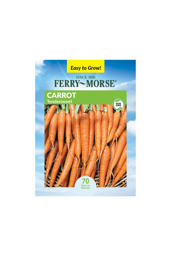 700MG Carrot Tendersweet Annual Vegetable Seeds, Full Sun