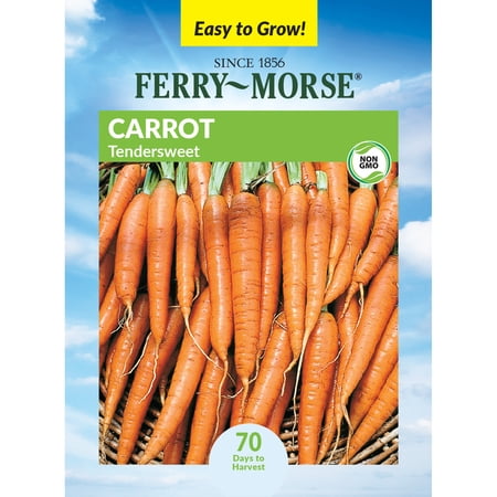 Ferry-Morse Carrot Tendersweet Annual Vegetable Seeds - Full Sun - 700 mg