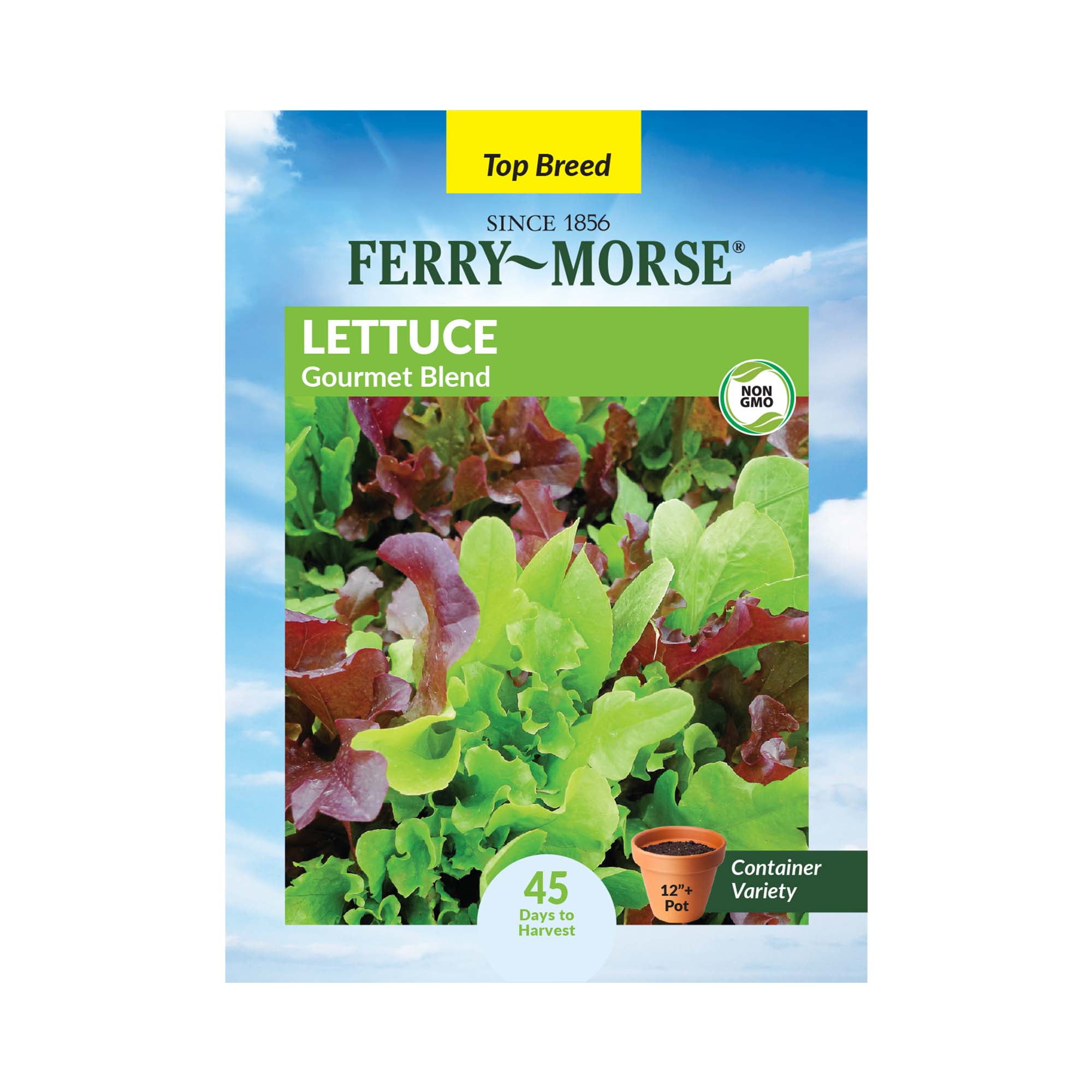 Ferry-Morse 700MG Lettuce Gourmet Blend Annual Vegetable Seeds, Full Sun