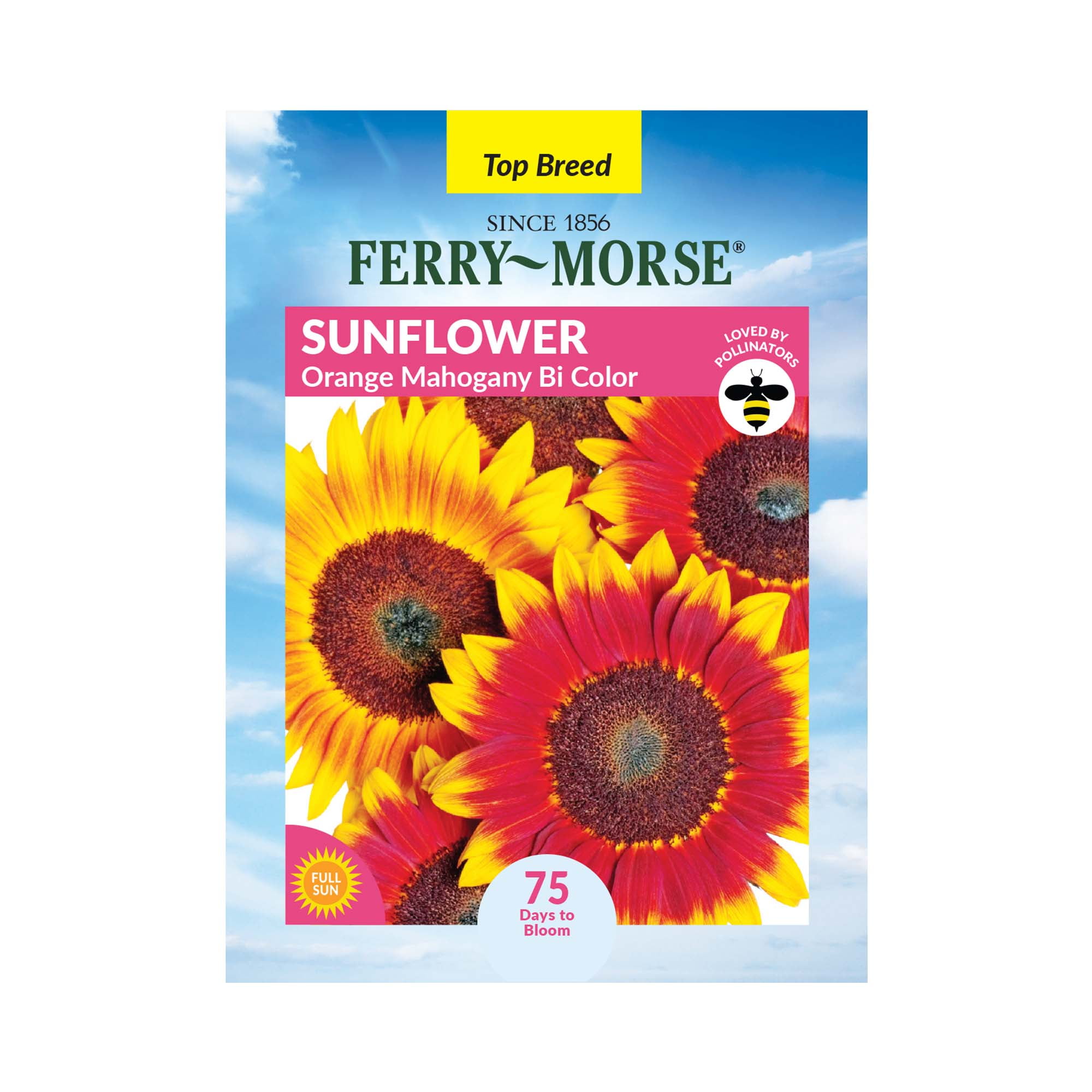 FerryMorse 700MG Sunflower Orange Color Annual Flower Seeds Full Sun