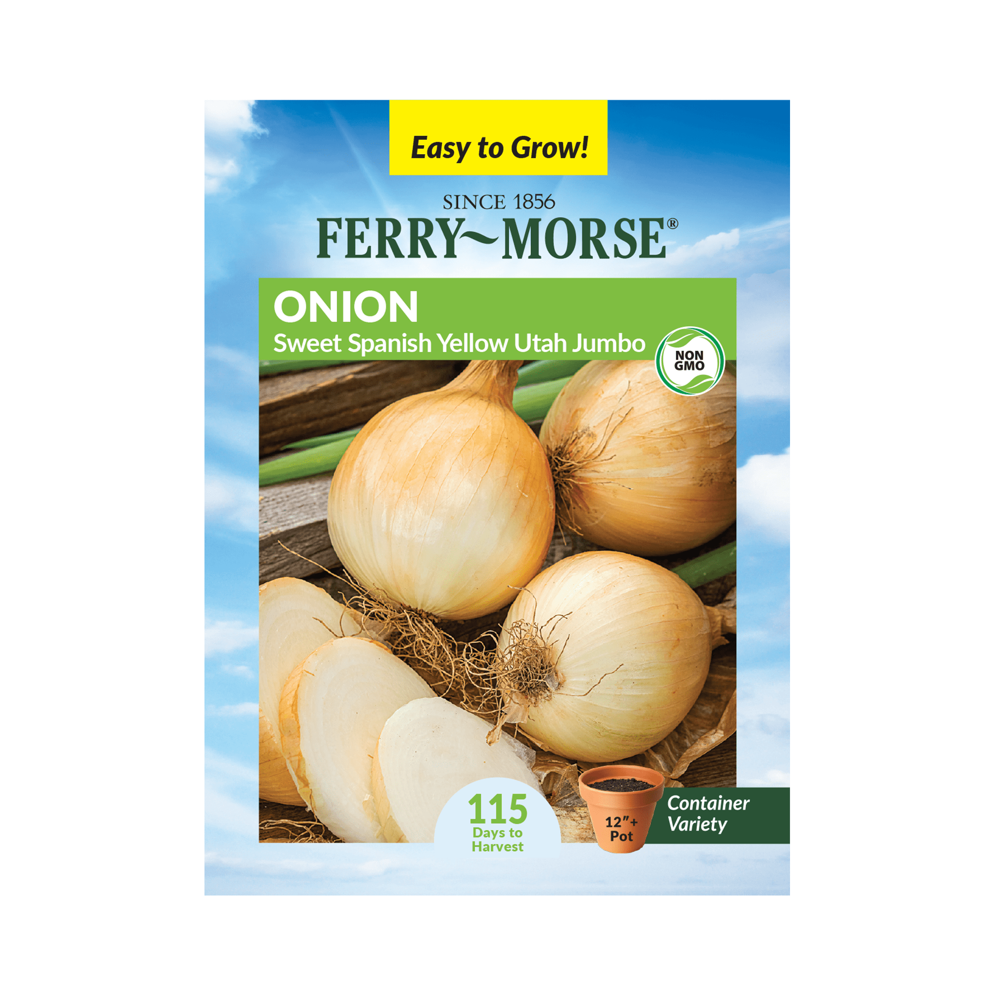 FerryMorse 720MG Onion Sweet Spanish Yellow Utah Jumbo Vegetable Plant