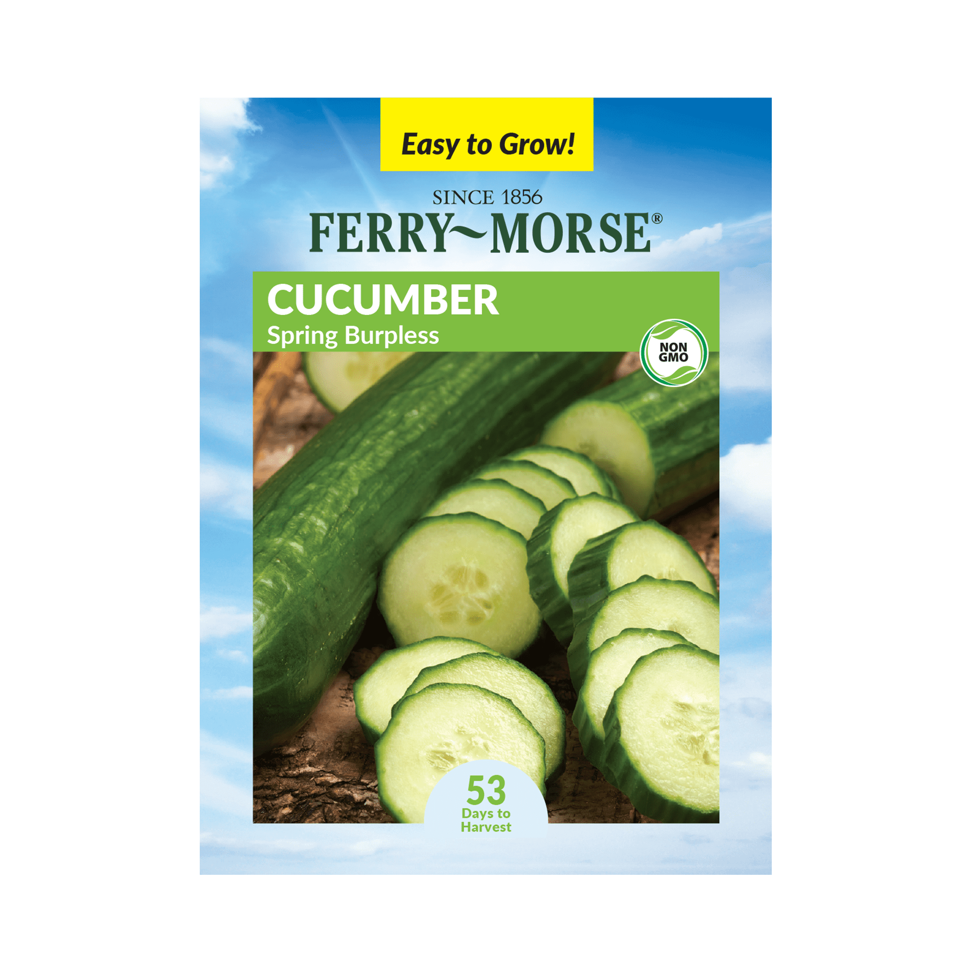 FerryMorse 740MG Cucumber Spring Burpless Vegetable Plant Seeds Full Sun