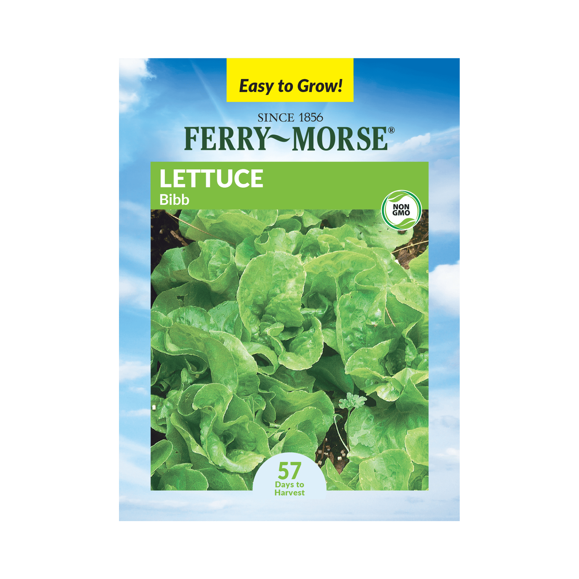FerryMorse 740MG Lettuce Bibb Vegetable Plant Seeds Full Sun