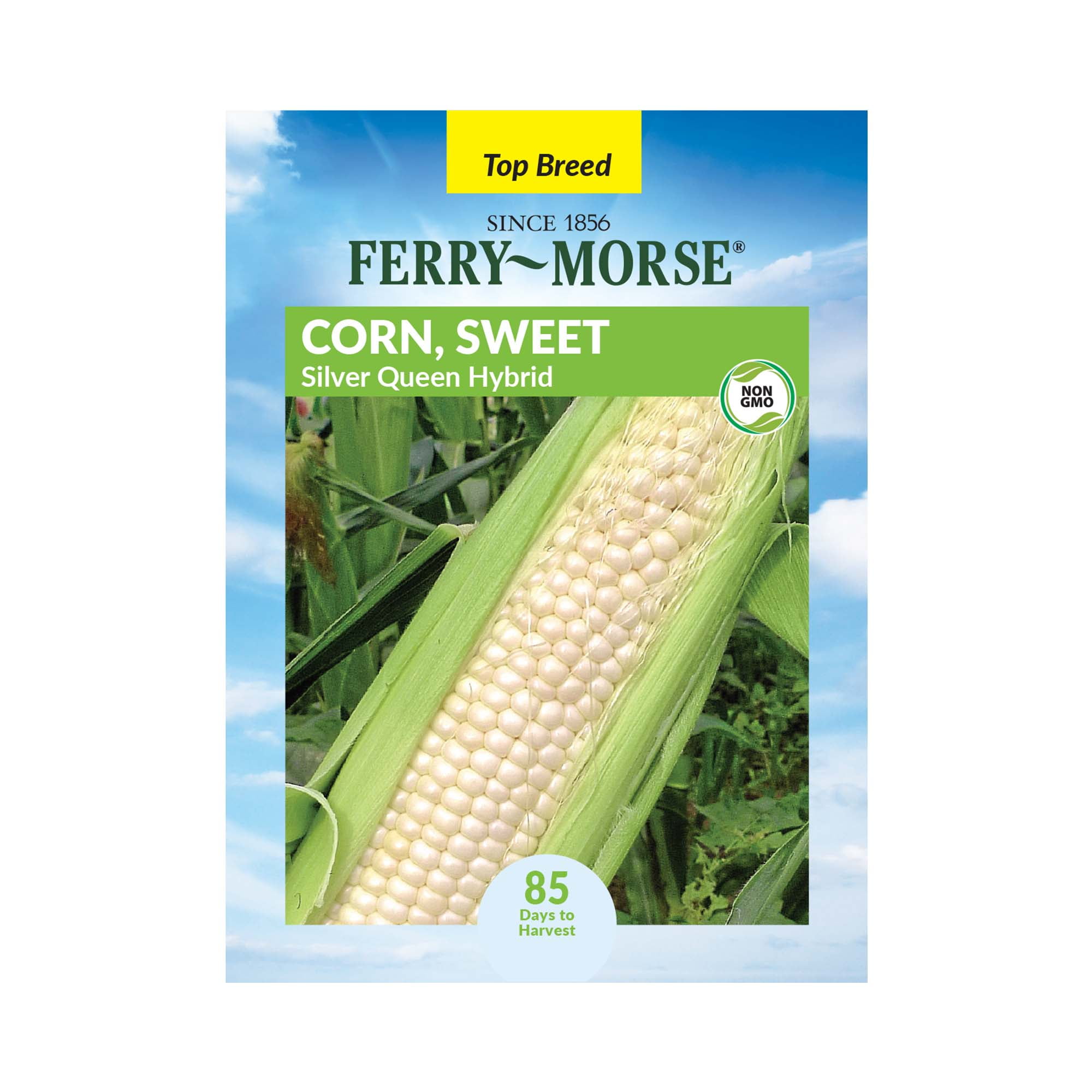 FerryMorse 7500MG Corn Sweet Silver Queen Hybrid Vegetable Plant Seeds