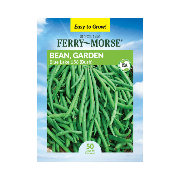 Ferry-Morse 8.5G Bean Blue Lake 156 Bush Annual Vegetable Seeds, Full Sun