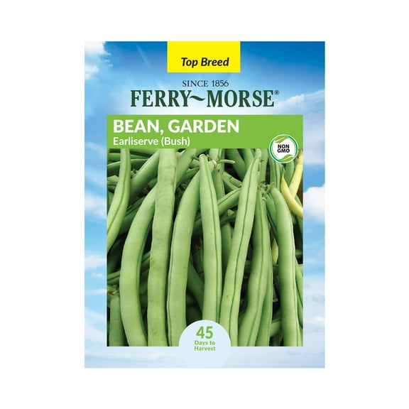Ferry-Morse 8.5G Bean Earliserve Bush Annual Vegetable Seeds, Full Sun