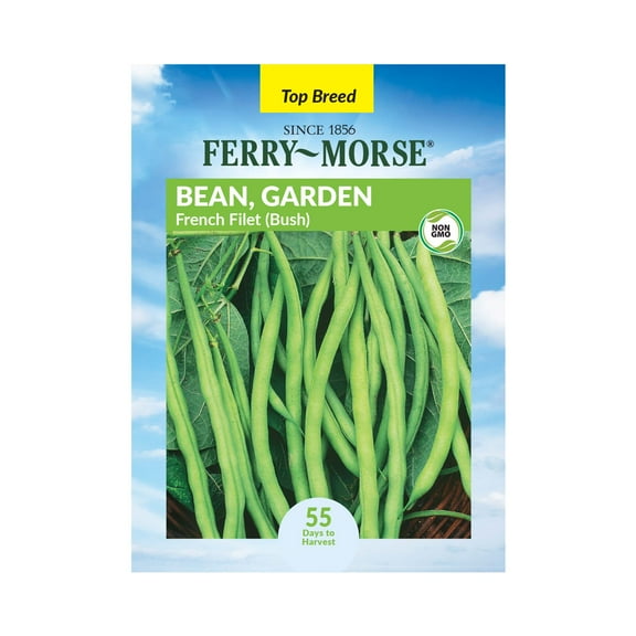 Ferry-Morse 8.5G Bean French Filet Annual Vegetable Seeds, Full Sun