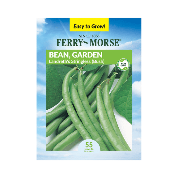 Ferry-Morse 8.5G Bean Landreth's Stringless Bush Annual Vegetable Seeds, Full Sun