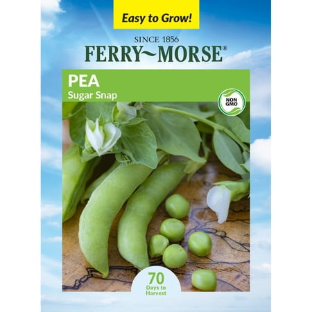 Ferry-Morse Super Sugar Snap Pea Annual Vegetable Seeds - Full Sun - 8.5G