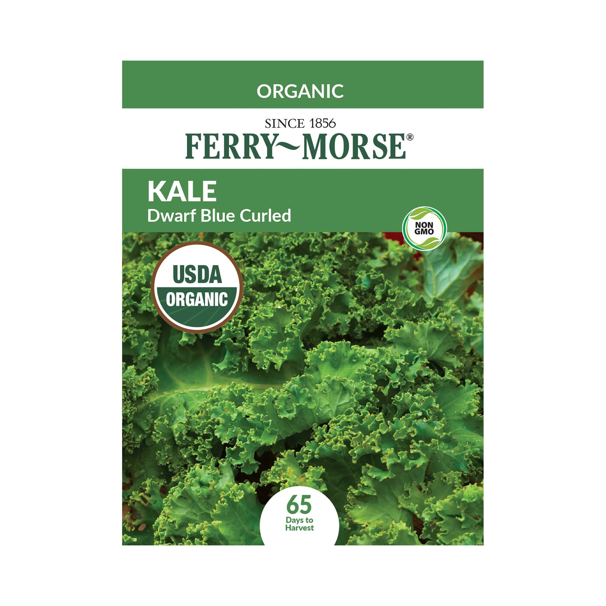 Ferry‑Morse 800MG Organic Kale Dwarf Blue Curled Seeds