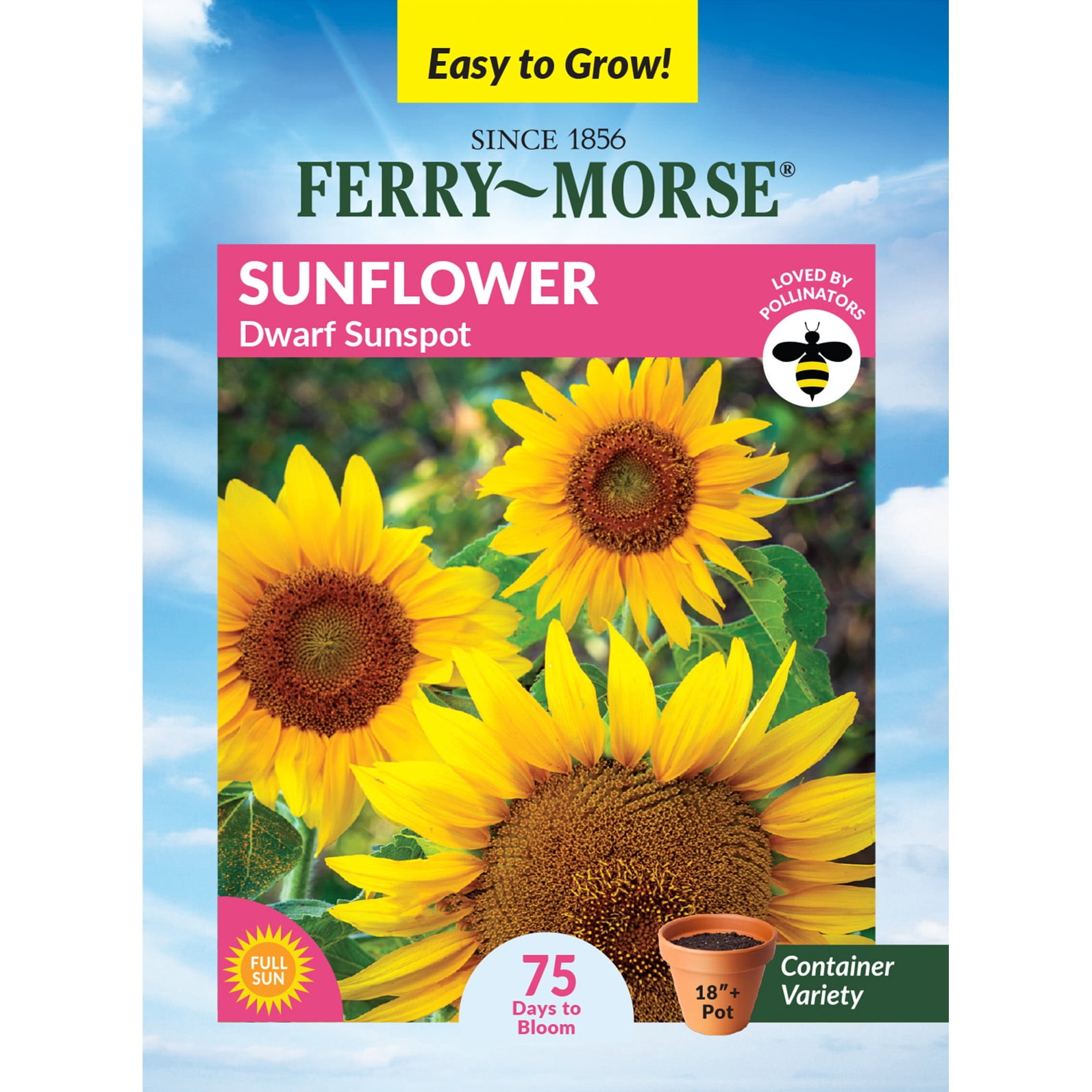 Ferry-Morse 800MG Sunflower Dwarf Sunspot Annual Flower Seeds, Full Sun ...