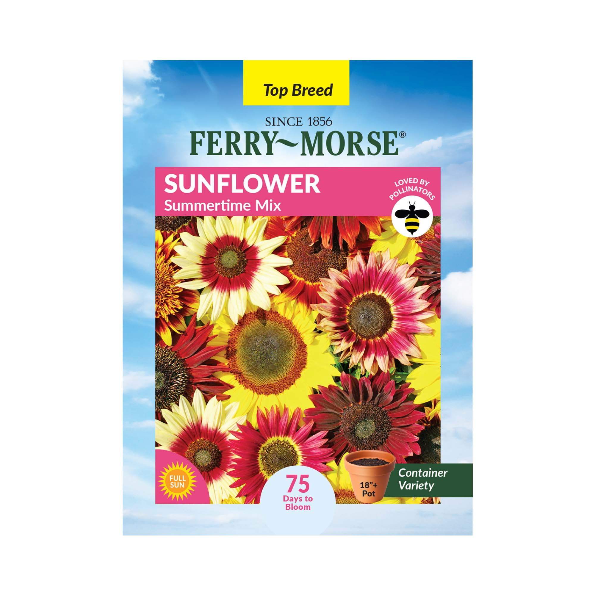 FerryMorse 800MG Sunflower Summertime Mix Annual Flower Seeds Full Sun