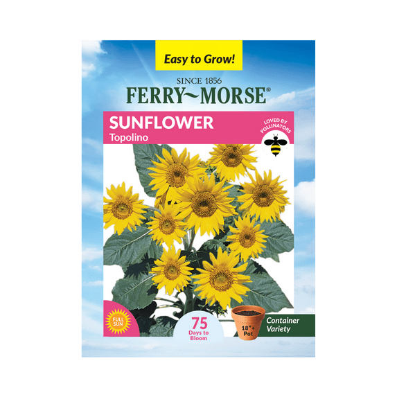 Ferry-Morse 800MG Sunflower Topolino Annual Flower Seeds, Full Sun
