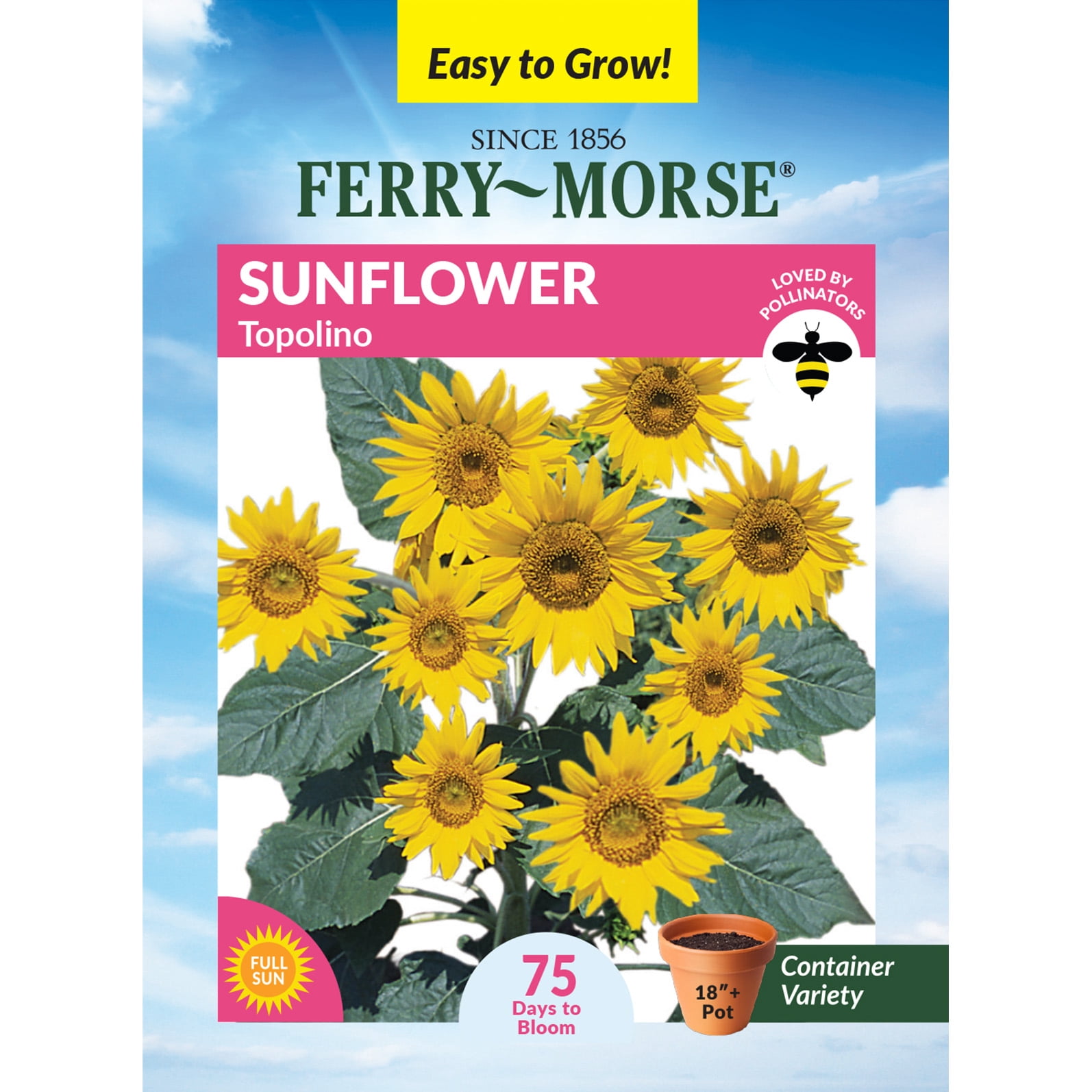 plant wall hanging pots Clippy: The Easy Plant Wall Kit – The Old Farmer's Almanac Store main image 1