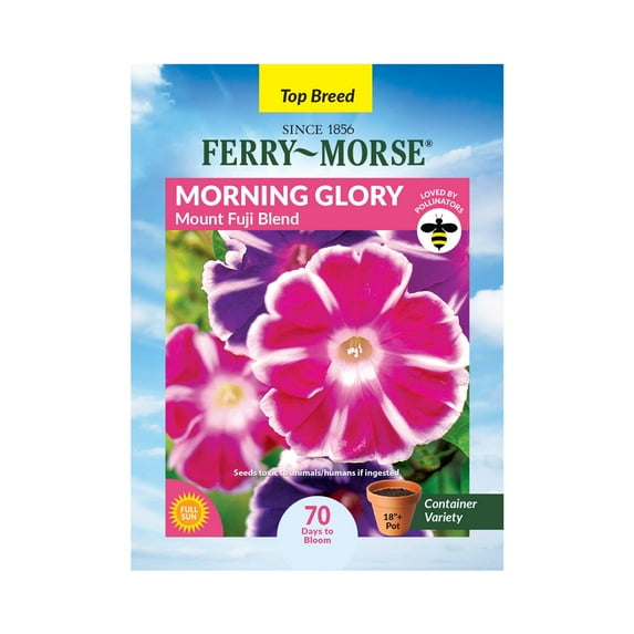 Ferry-Morse 850MG Morning Glory Mount Fuji Blend Annual Flower Seeds, Full Sun