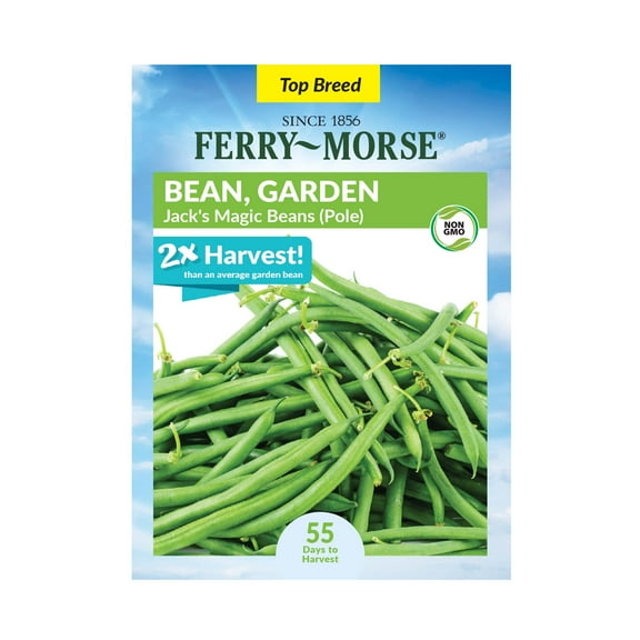 Ferry-Morse 8G Bean Jack's Magic Pole Annual Vegetable Seeds, Full Sun