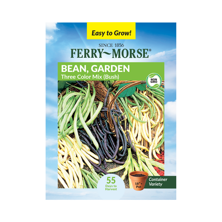 Ferry-Morse 8G Bean Three Color Bush Mix Annual Vegetable