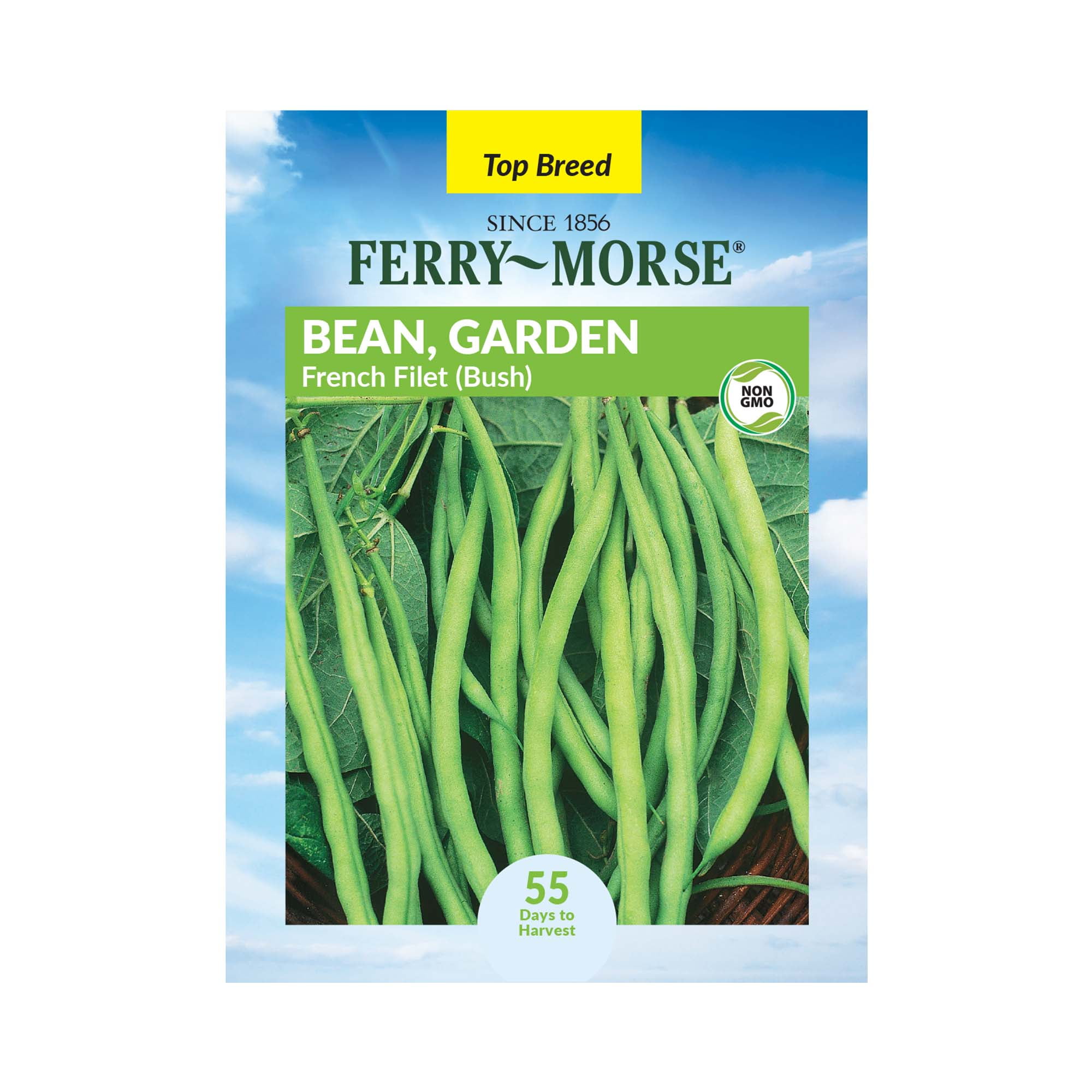 FerryMorse 9000MG Bean Garden French Filet (Bush) Vegetable Plant