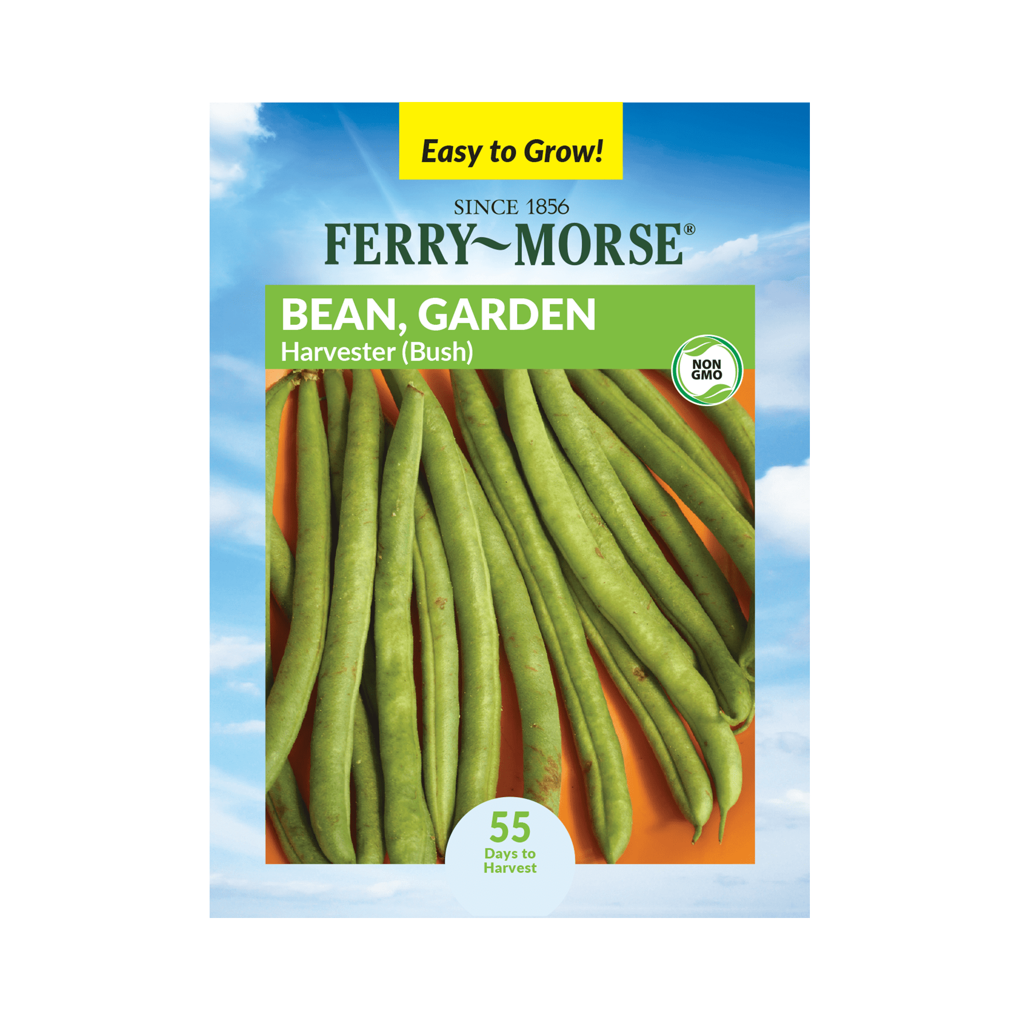 Ferry-Morse 9000MG Bean, Garden Harvester (Bush) Vegetable Plant Seeds ...