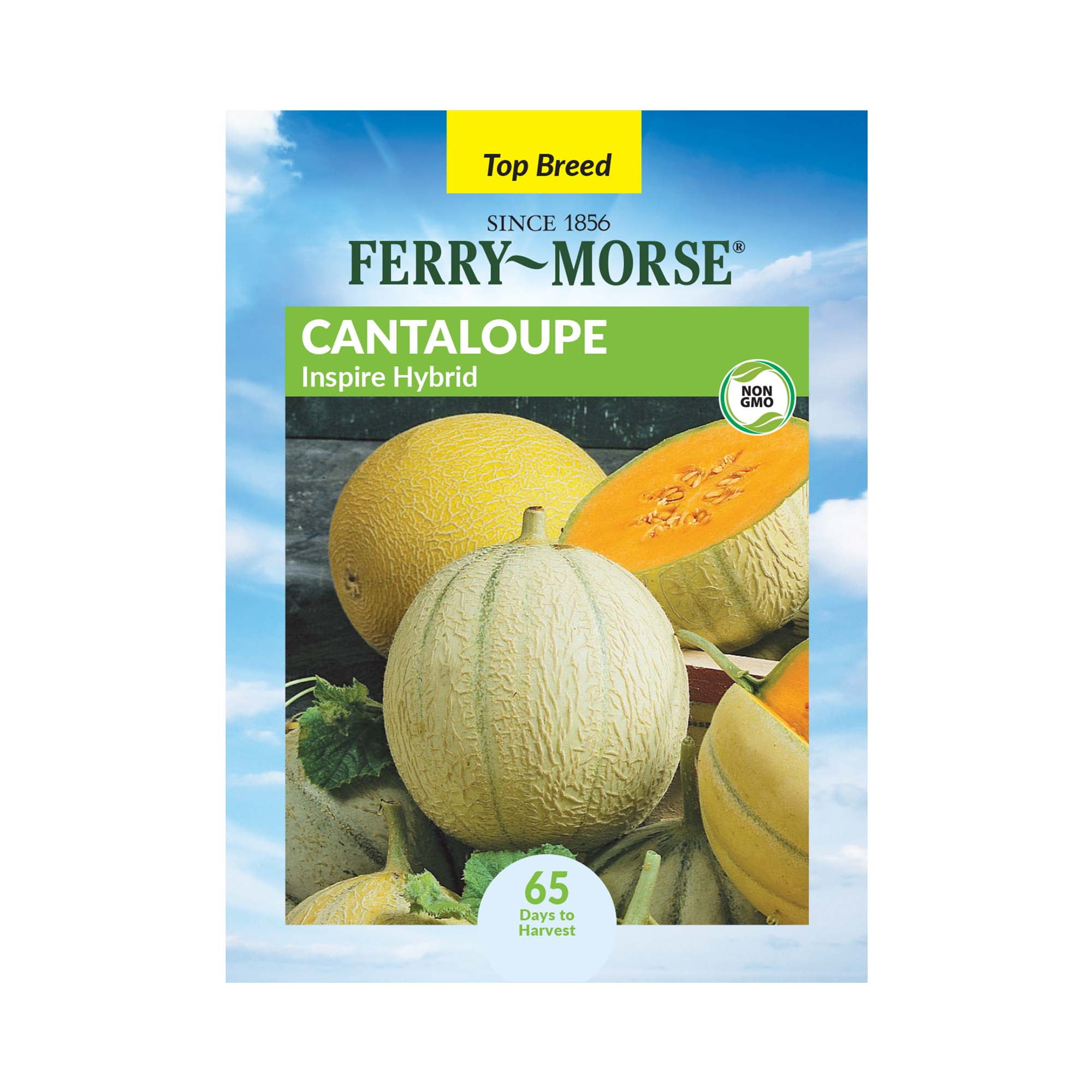 Ferry-Morse 950MG Cantaloupe Inspire Hybrid Annual Fruit Seeds, Full Sun