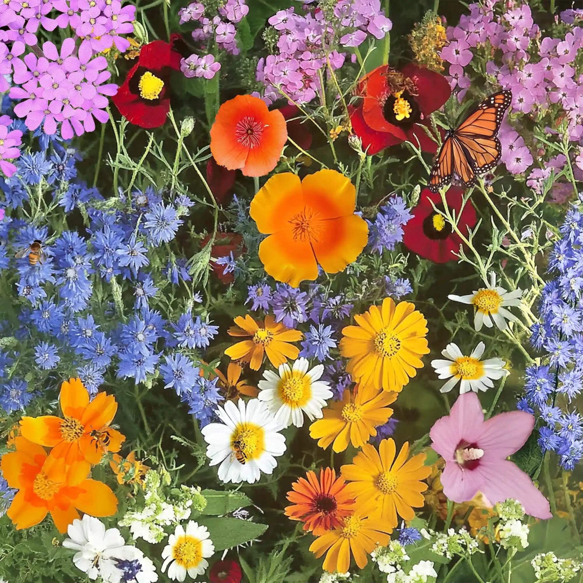 Ferry-Morse Annual Mix Bulk Flower Seeds, 1lb