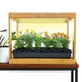 thumbnail image 1 of Ferry-Morse Modern Indoor Bamboo LED Growhouse with Timer for Sustainable Plant Growth, 1 of 9