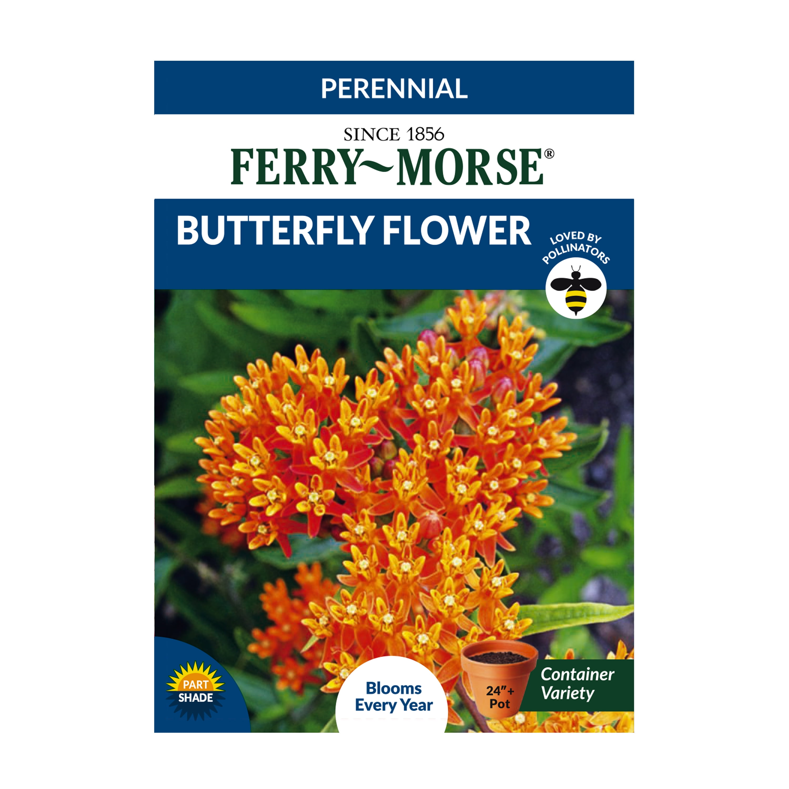 Ferry-Morse Butterfly Flower Asclepias