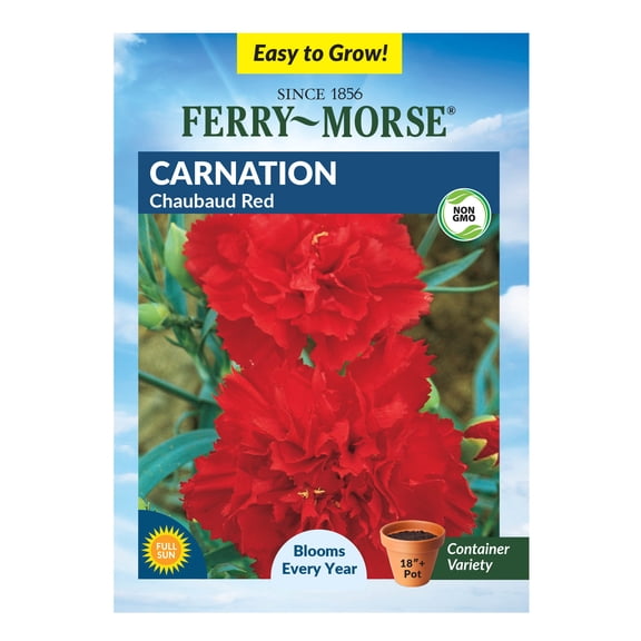 Ferry-Morse 160MG Carnation Chaubaud Red Perennial Flower Seeds, Full Sun