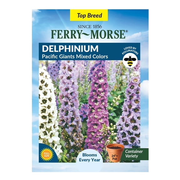 Ferry-Morse 100MG Delphinium Pacific Giants Perennial Flower Seeds, Full Sun