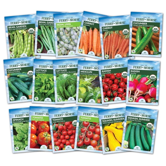 Ferry-Morse Easy To Grow Vegetable Garden Seed Variety Pack- 18 Pack