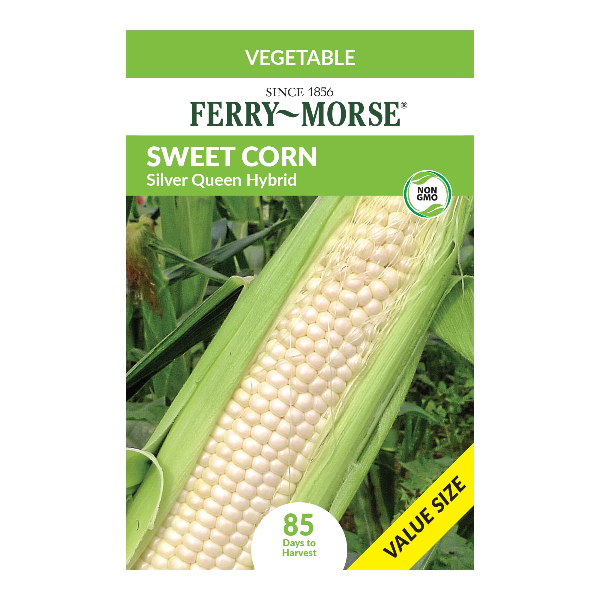 Ferry-Morse Economy 17G Corn Silver Queen Hybrid Annual Vegetable Seeds, Full Sun