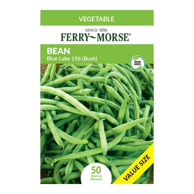 FerryMorse Economy 19000MG Bean Blue Lake 156 Vegetable Seeds Full Sun