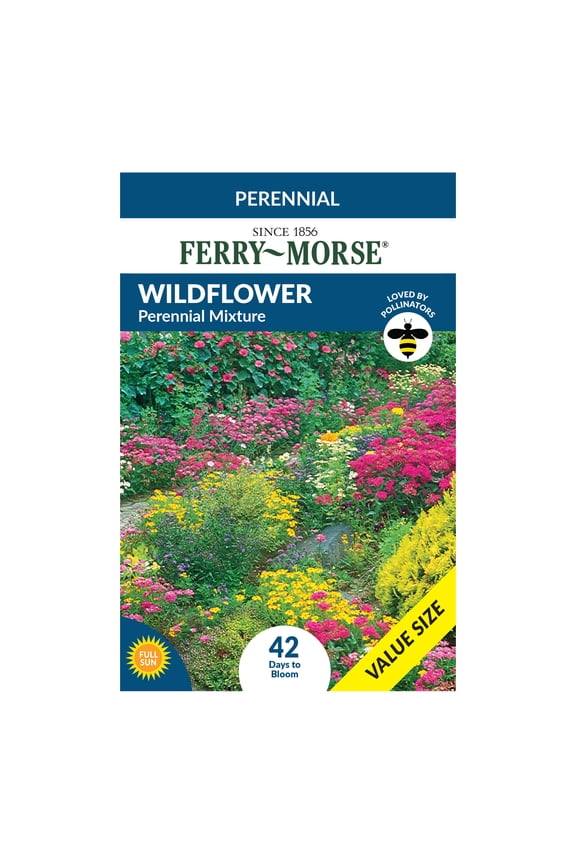 Economy 7.5G Wildflower Perennial Mixture Flower Seeds, Full Sun