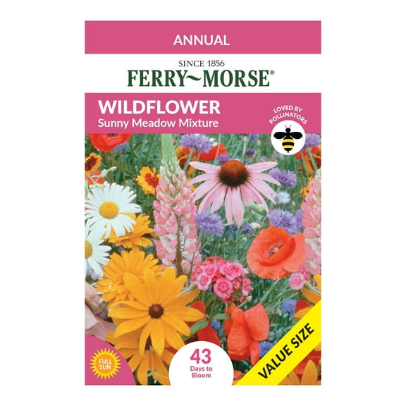 Ferry-Morse Economy 7.5G Wildflower Sunny Meadow Mixture Annual Flower Seeds, Full Sun