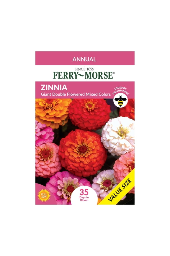 Economy 950MG Zinnia Giant Double Flowered Mixed Colors Annual Flower Seeds, Full Sun
