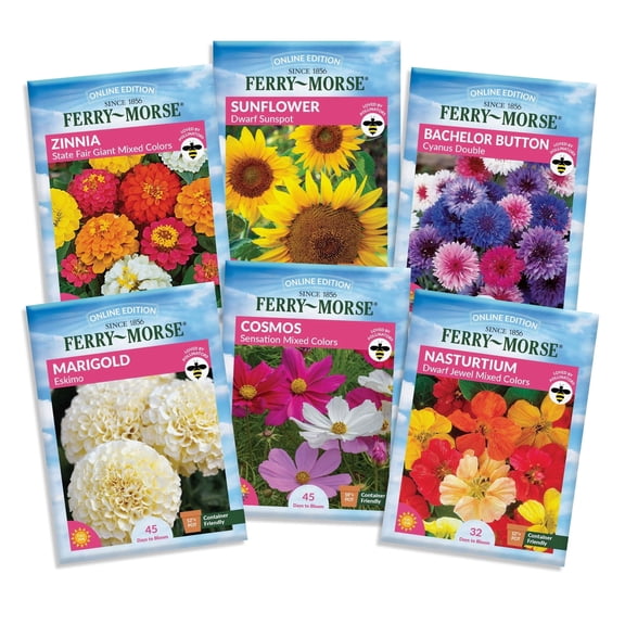 Ferry-Morse Effortless Bloom Flower Seeds Variety Pack (6 Types)  Easy to Grow Flowers for Beginners, Cut Flower & Pollinator Garden Kit