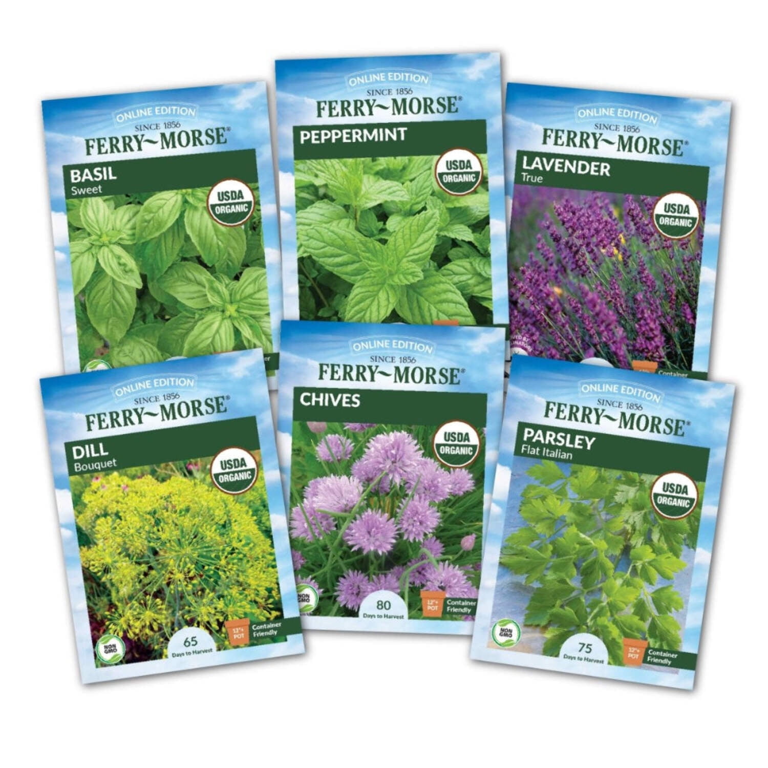 Ferry-Morse Kitchen Herb Organic Seed Variety Pack - 6 Pack