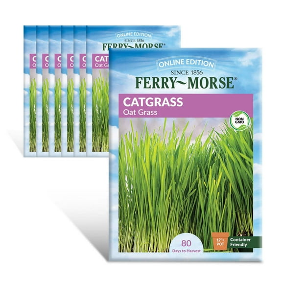 Ferry-Morse Online Edition Catgrass Seed Multipack - 7 Pack