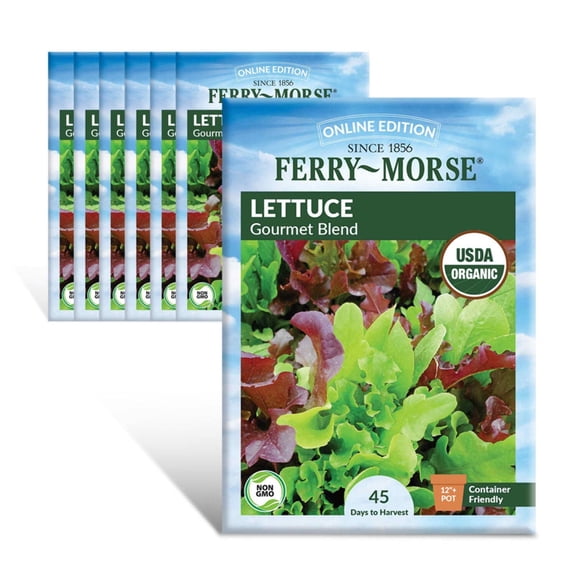 Ferry-Morse Online Edition Lettuce Gourmet Blend Organic Seed Multipack - 7 Pack
