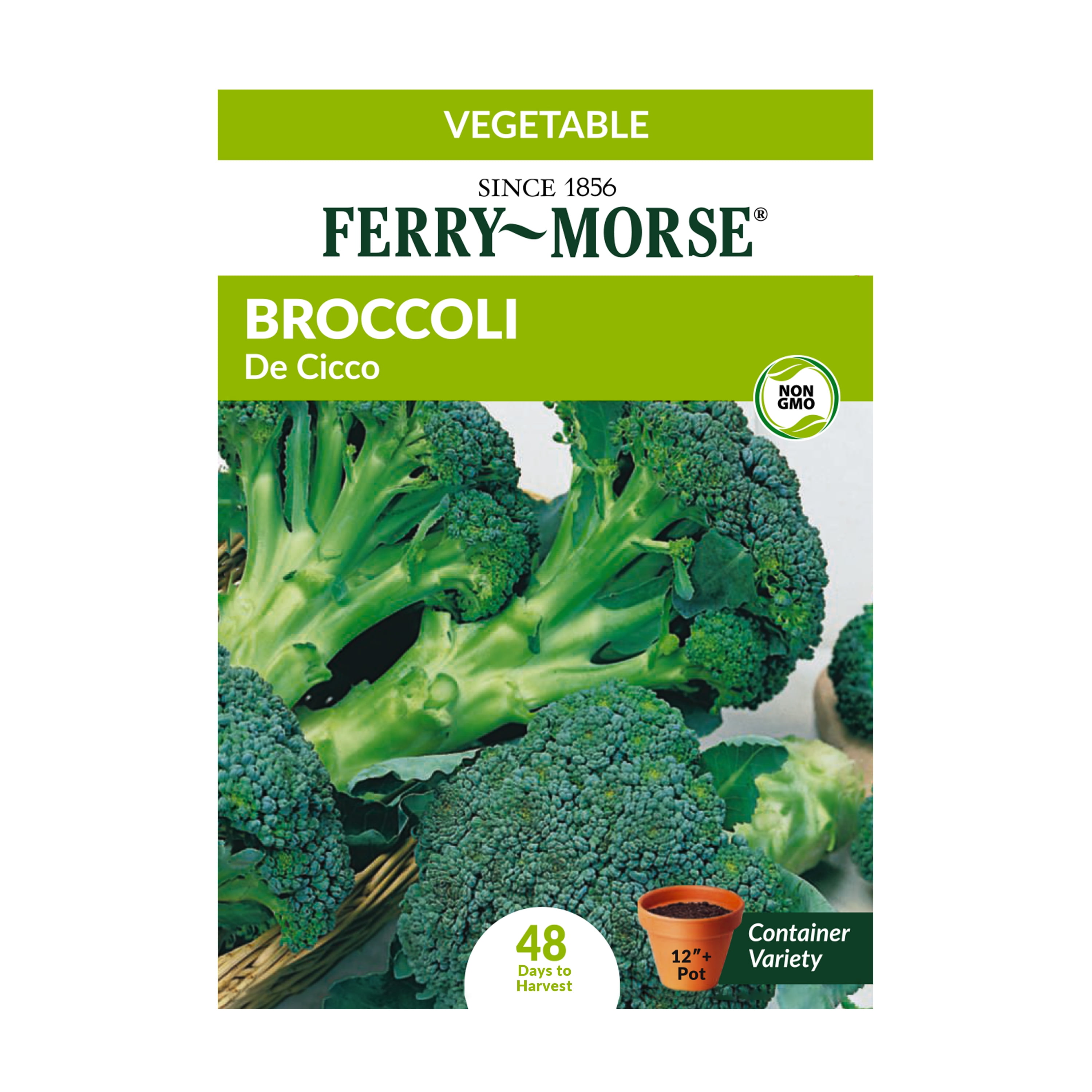 FerryMorse Organic 1G Broccoli DeCicco Vegetable Plant Seed Full Sun