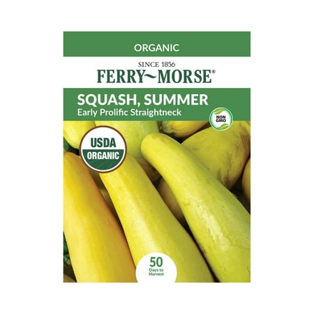 Ferry-Morse Organic 2400MG Squash Early Prolific Straightneck Vegetable Plant Seeds Full Sun