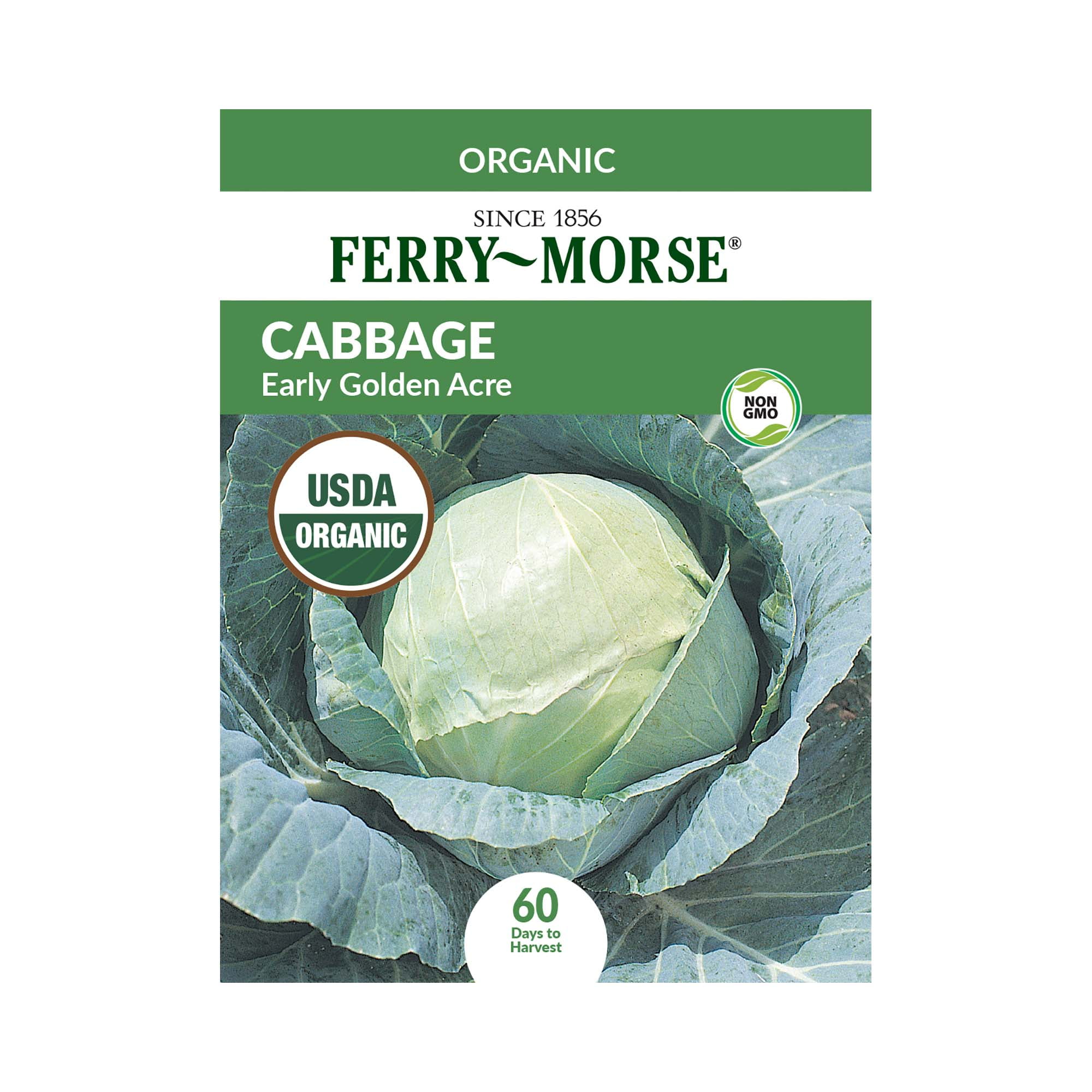 FerryMorse Organic 500MG Cabbage Early Golden Acre Vegetable Plant Seeds Full Sun