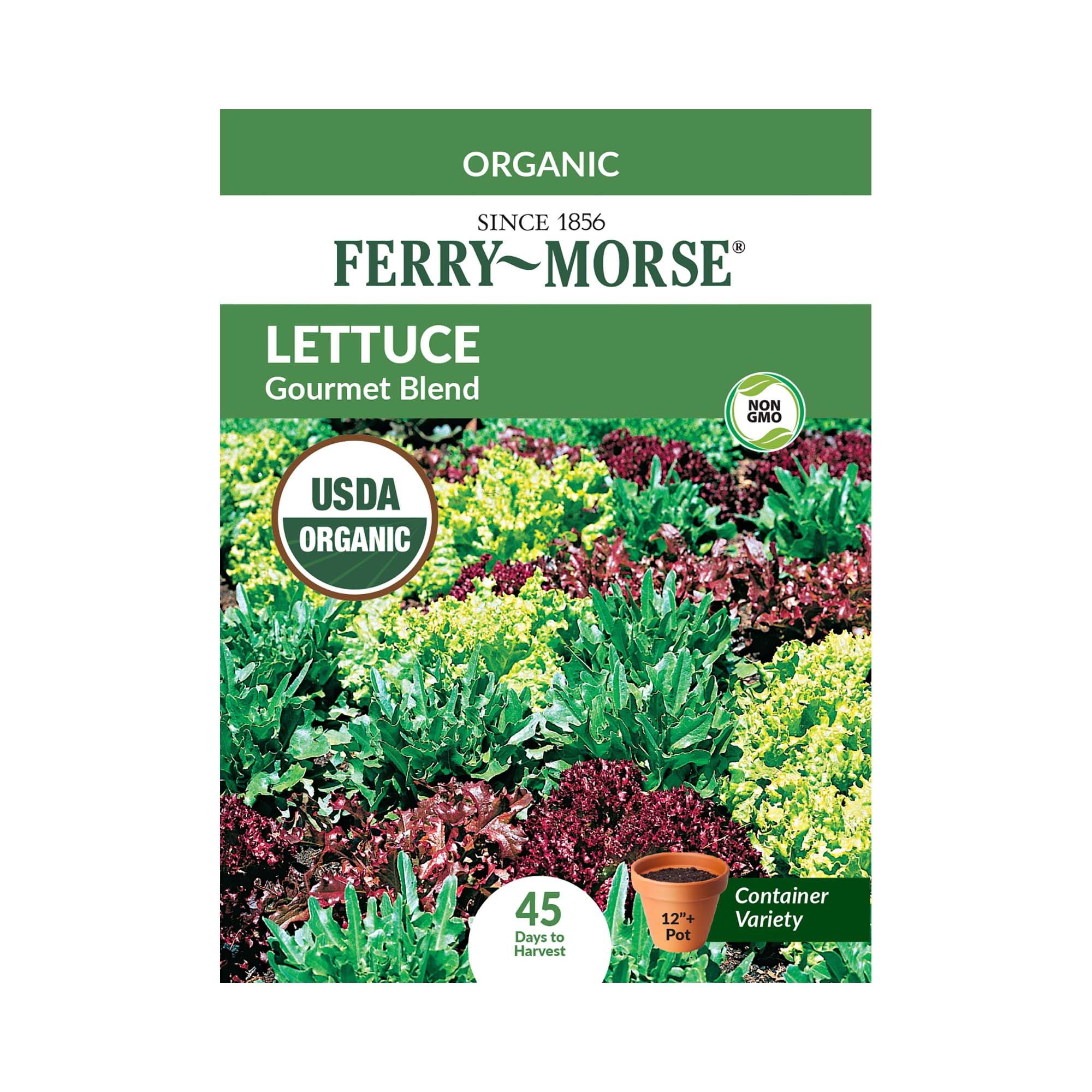 FerryMorse Organic 575MG Lettuce Gourmet Blend Vegetable Plant Seeds