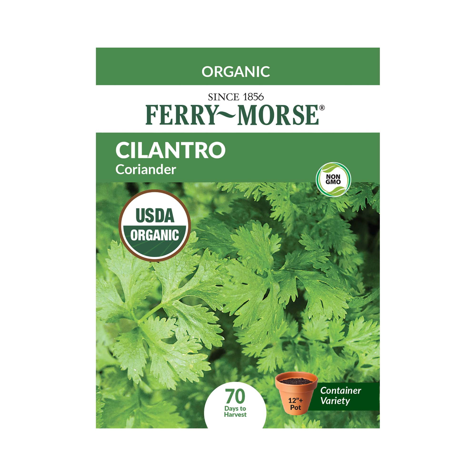 FerryMorse Organic 820MG Cilantro / Coriander Herb Plant Seeds Full