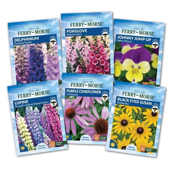 Ferry-Morse Perennials to Plant in Fall Seed Variety Pack - 6 Pack