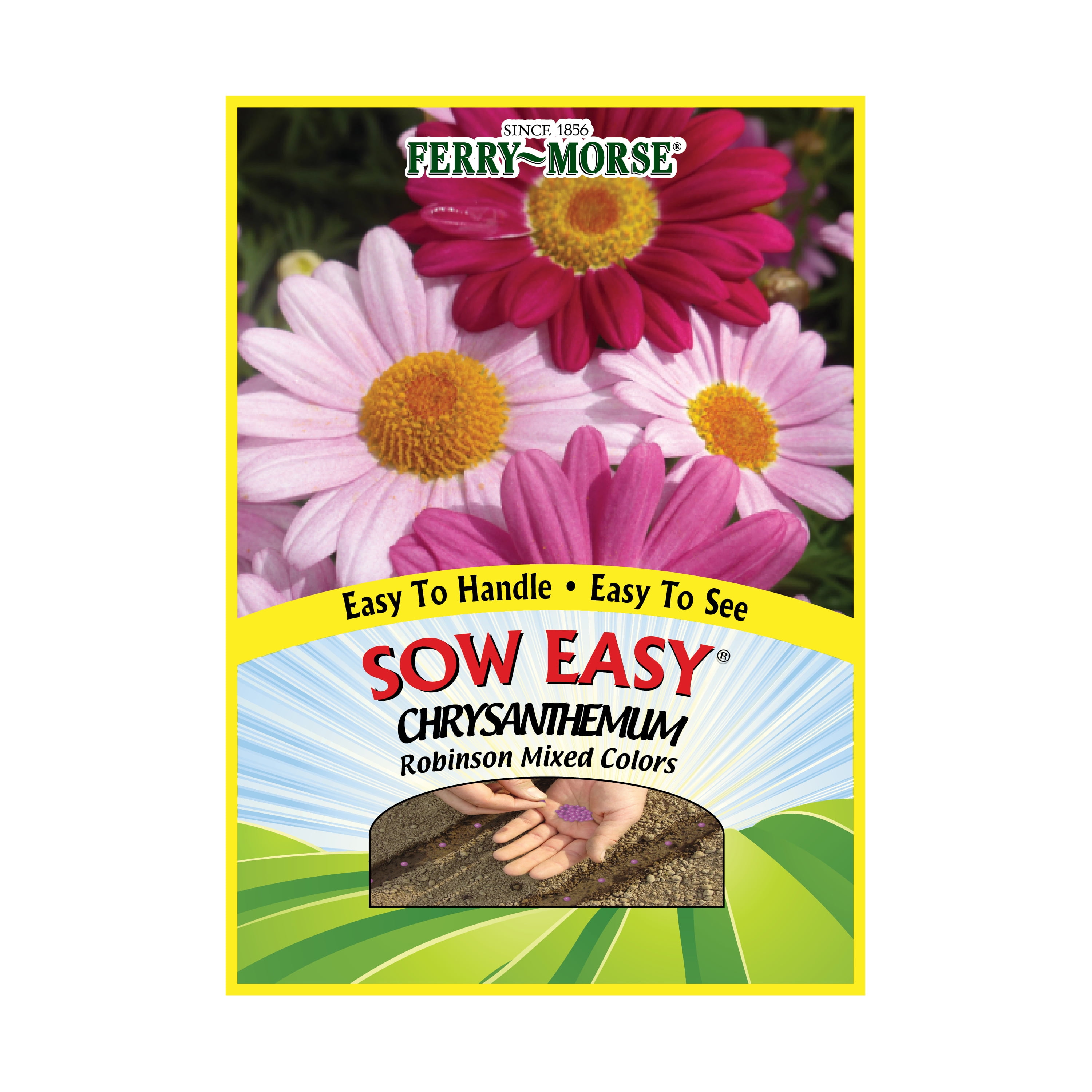 FerryMorse Sow Easy 1G Chrysanthemum Robinson Mixed Colors Annual