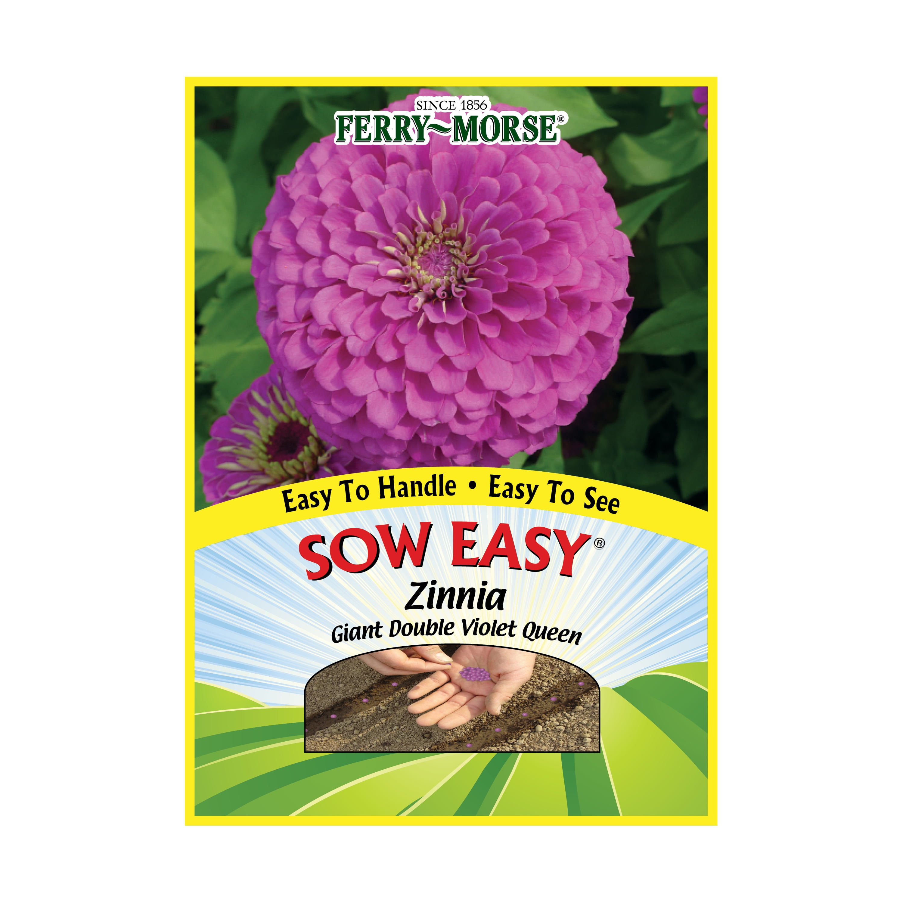 Ferry-Morse Sow Easy 45PCS Zinnia Giant Double Violet Queen